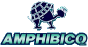 Amphibico